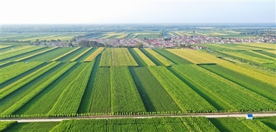 开鲁坚持"藏粮于地,藏粮于技"推进高标准农田建设