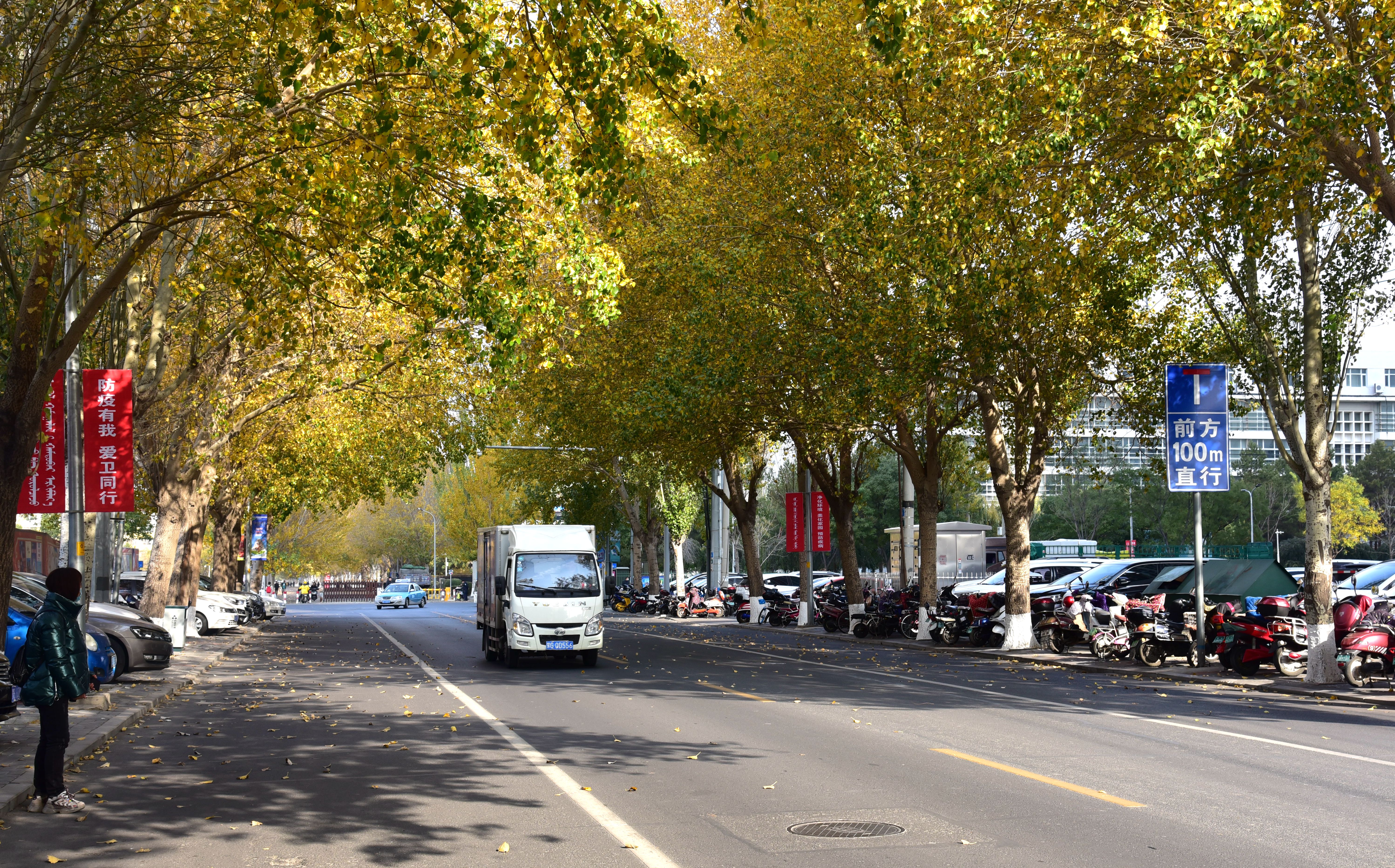 downLoad-20201102095807.JPG
