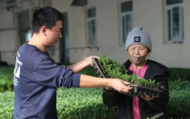 霍市“线上培训+线下育苗”开启备春耕模式