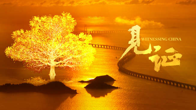 创意视频｜见证