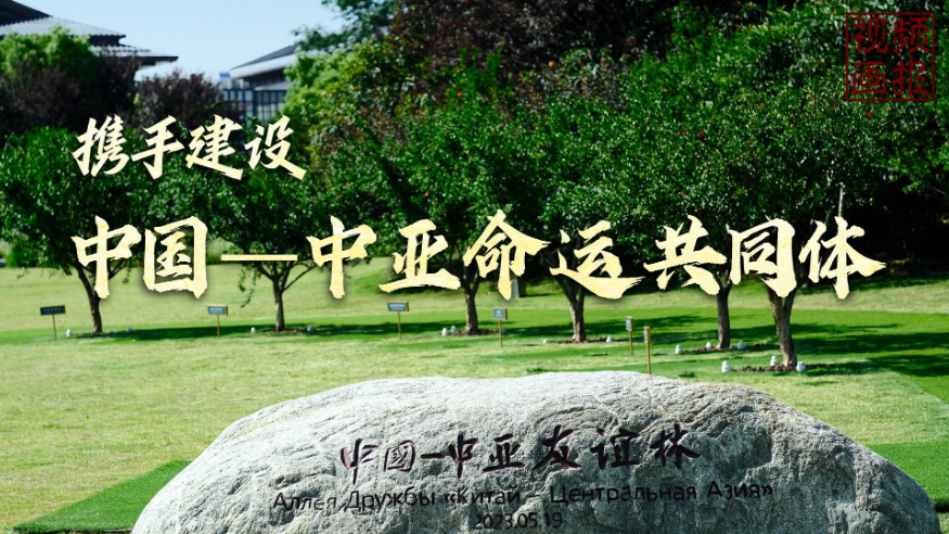 First slide image