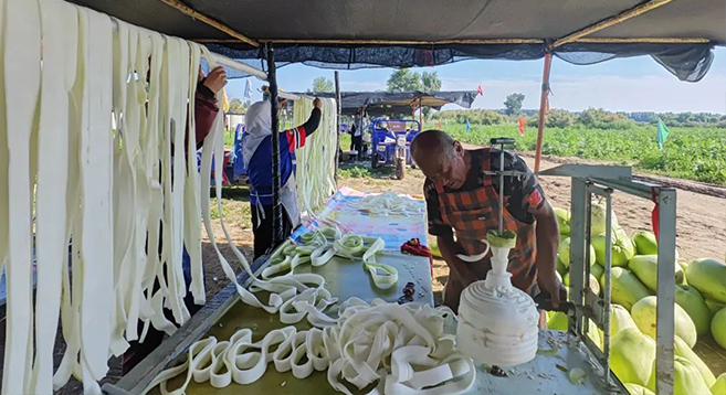 “福禄”种植促增收