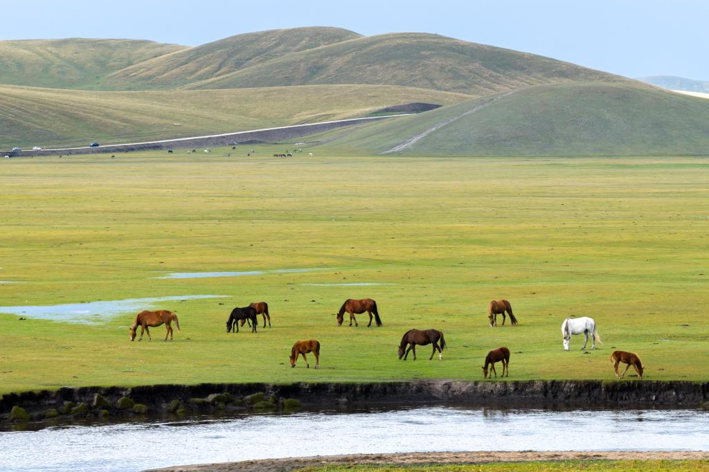 北方草原文化自古与中原文化不可分割