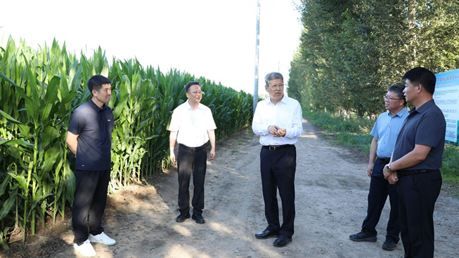 Third slide image