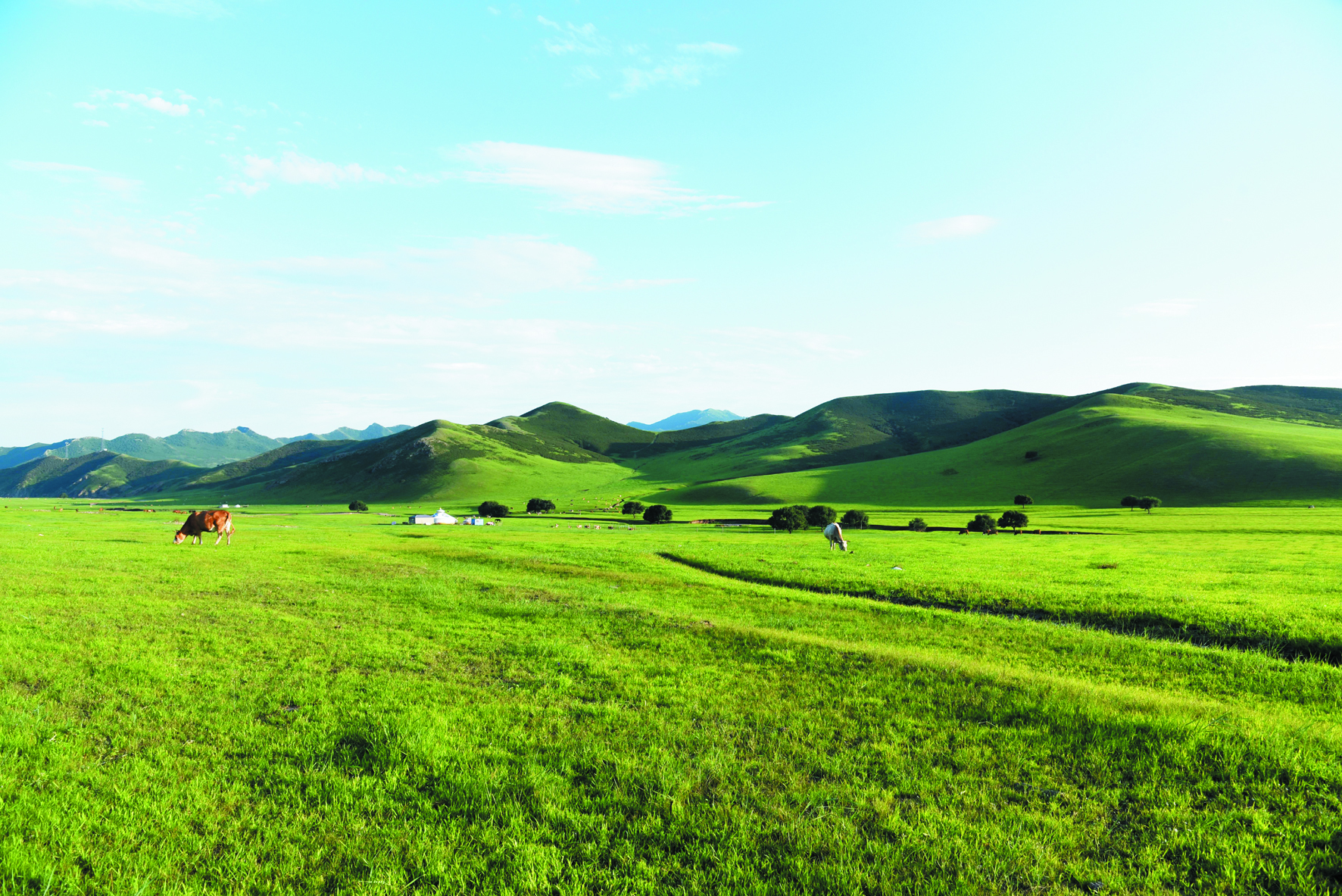 山地草原美如画