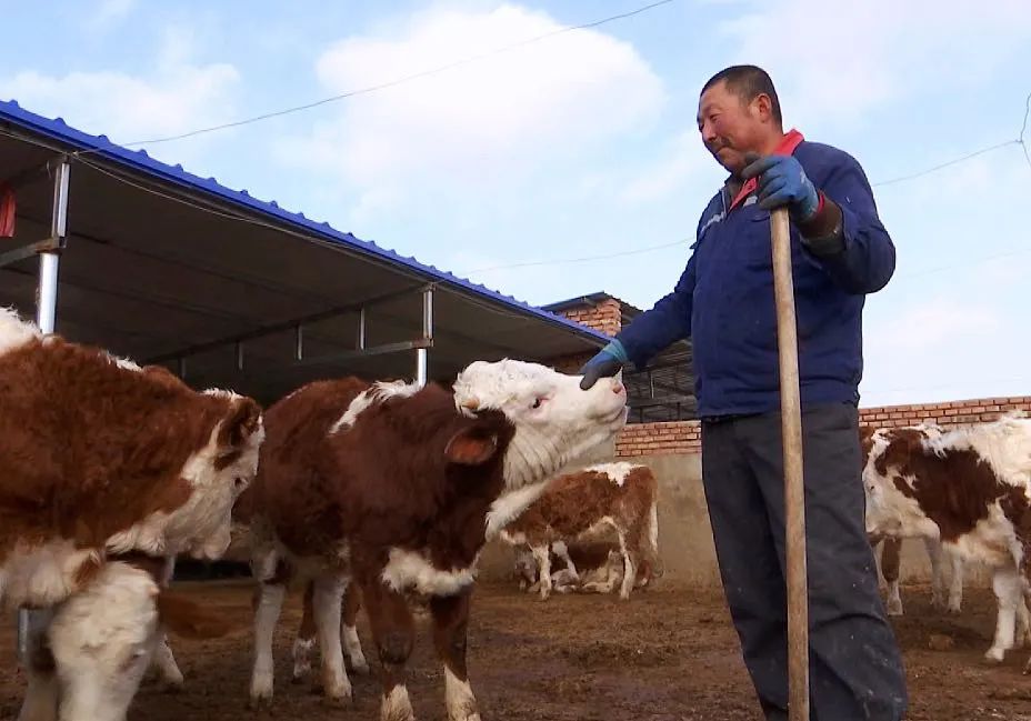 d4e6a579-5024-4d11-b4dc-5a106accb2ee_IMAGE_0.jpg 图片