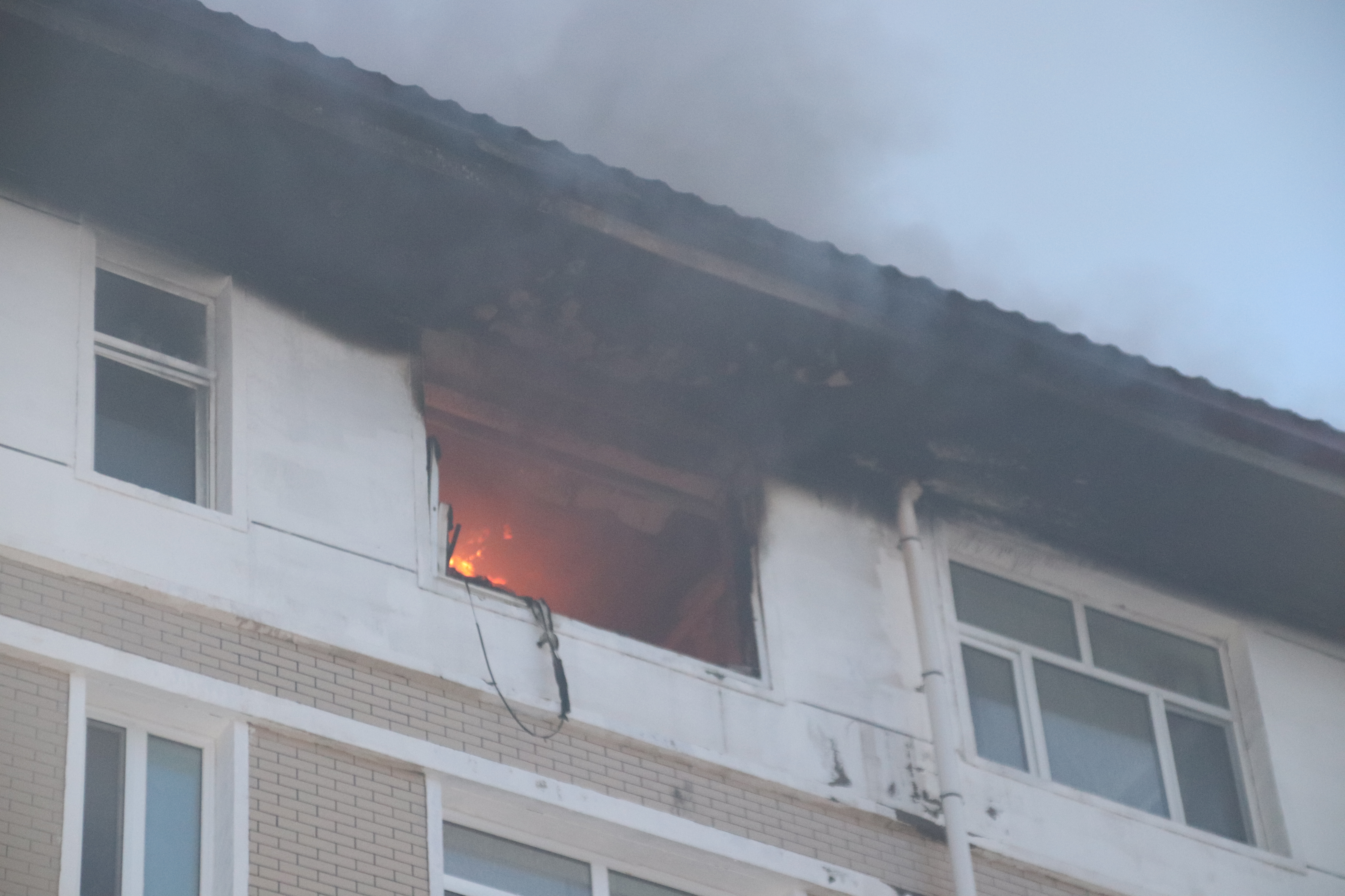 1554221260421311.jpg 1.JPG