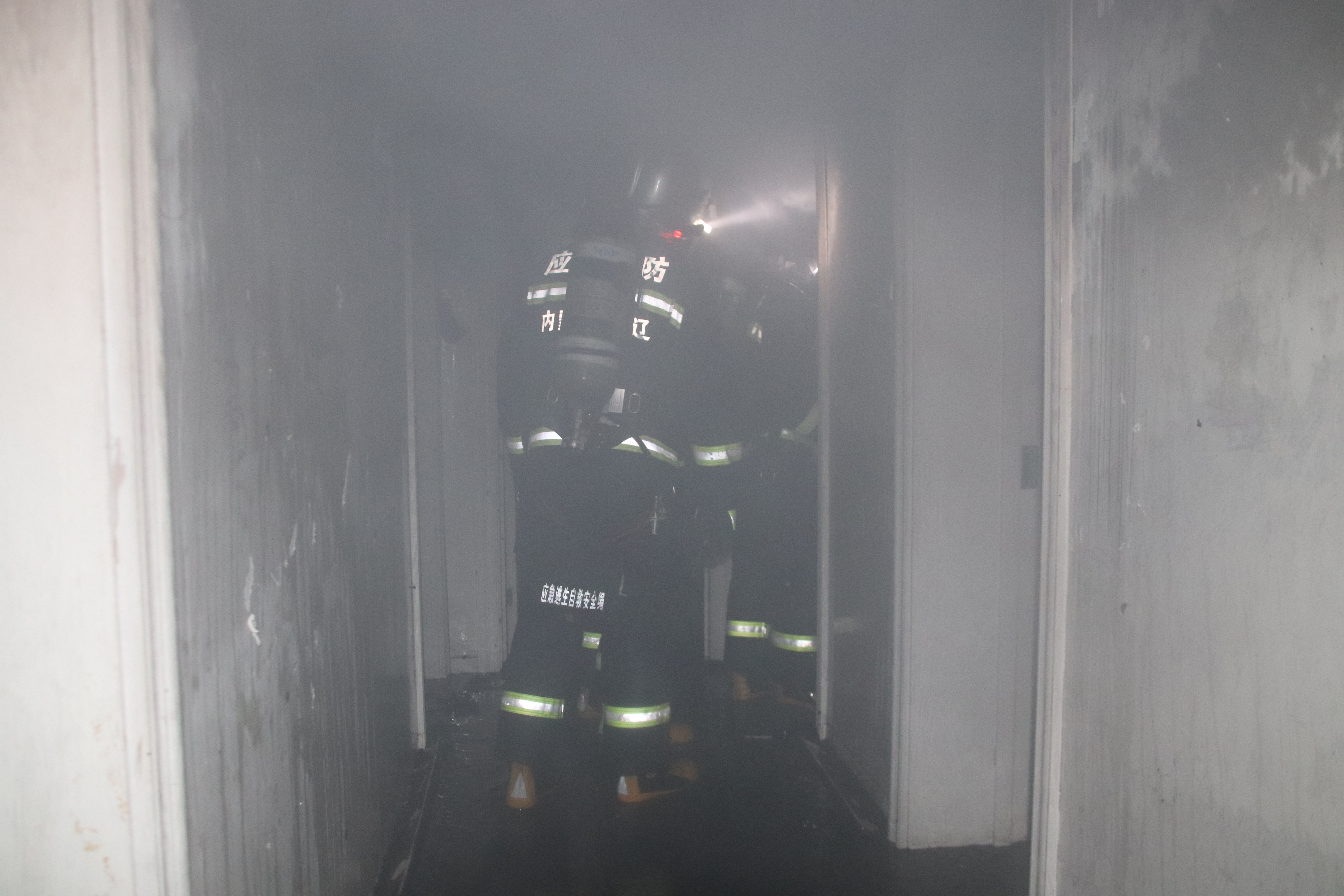 1554356288076011.jpg 2.JPG