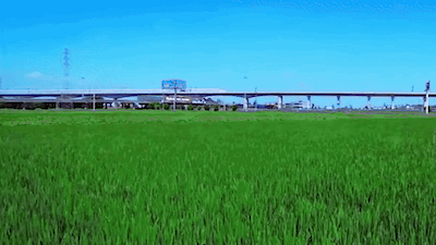 微信图片_20221019154406.gif