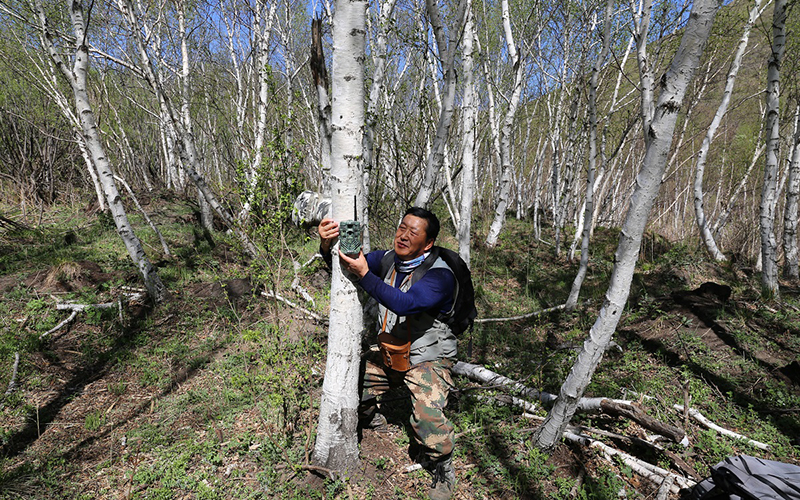 1703328699606241.jpg 69b5447dada5415ed7aba02d0515706.jpg