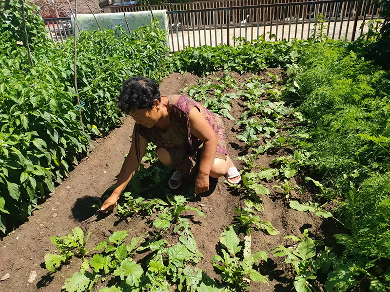 1713243386075957.jpg 76efd40ec4aa585f3a9ab1de0669c56.jpg