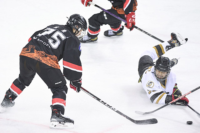 内蒙古当好东道主十四冬展现高水平