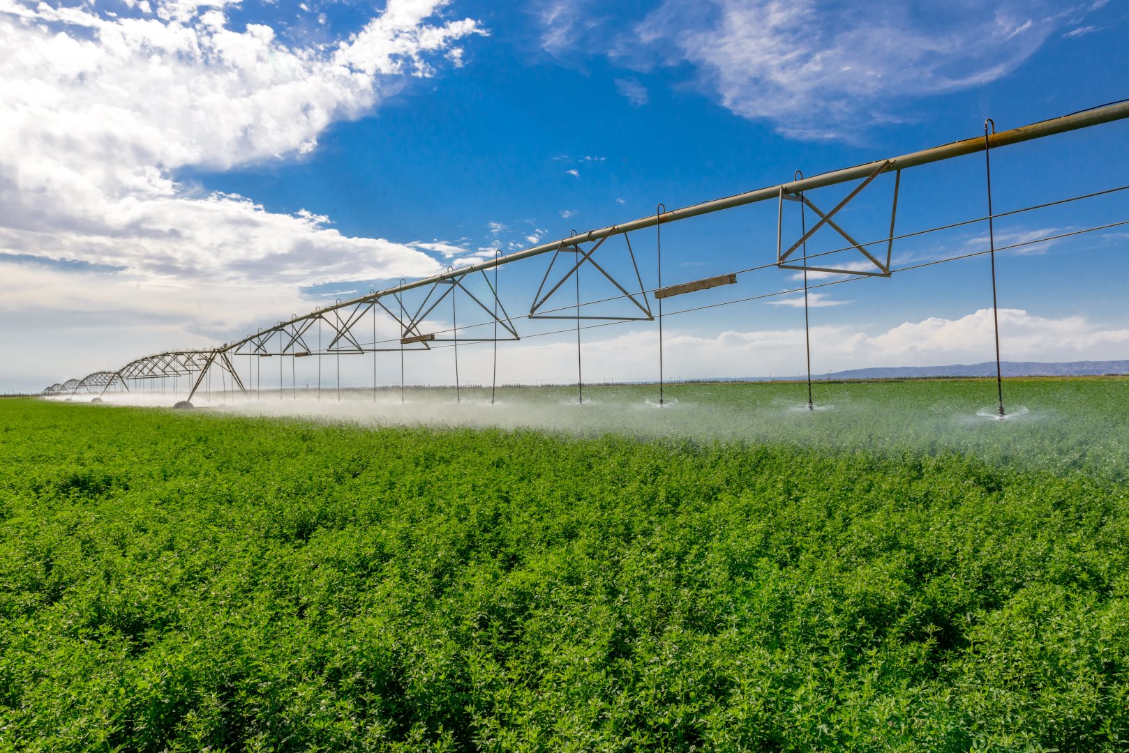 提高质量,增加产量,努力把国家重要农畜产品生产基地建设得量大质优
