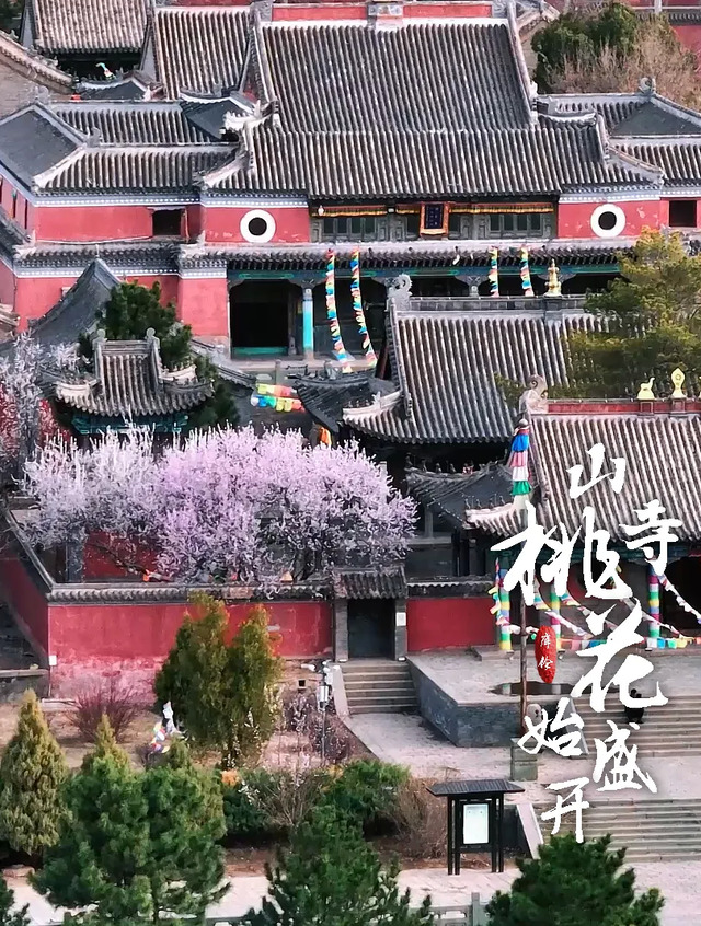 山寺桃花始盛开