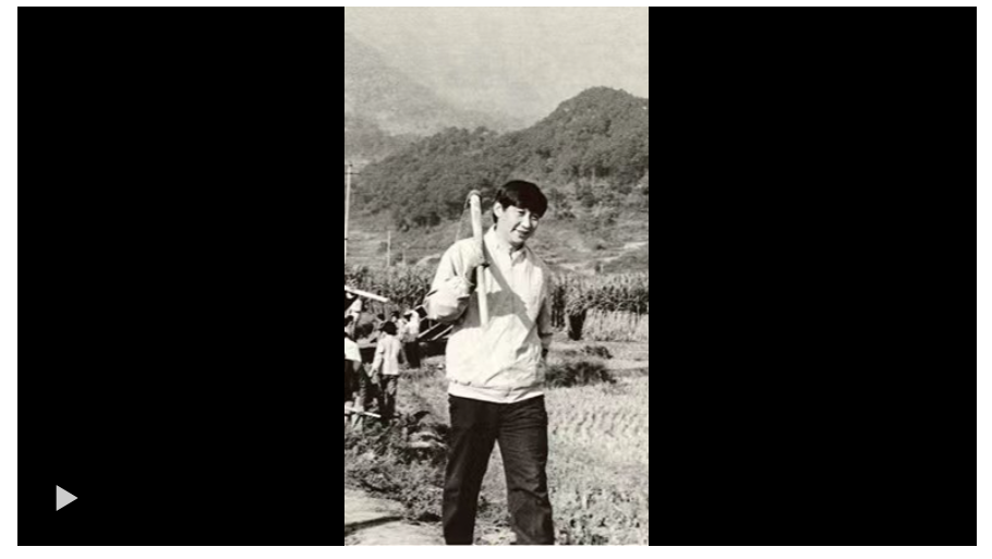 QQ_1732431008240.png