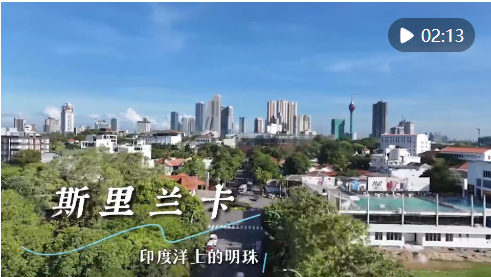 QQ_1737077427974.png