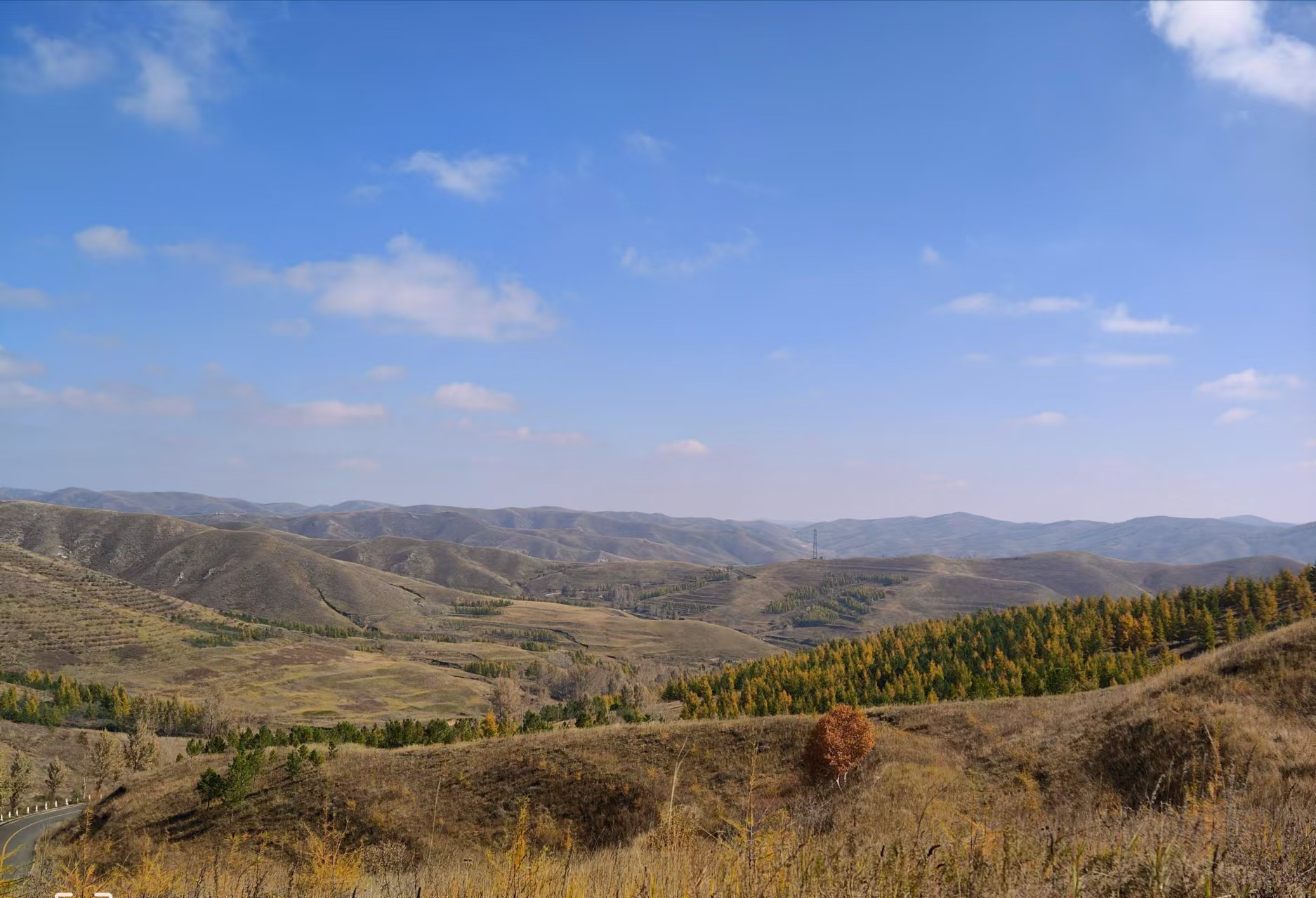 禁牧后的大青山林草丰茂。.jpg