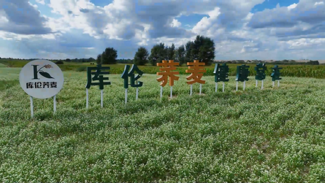 640 (1).png