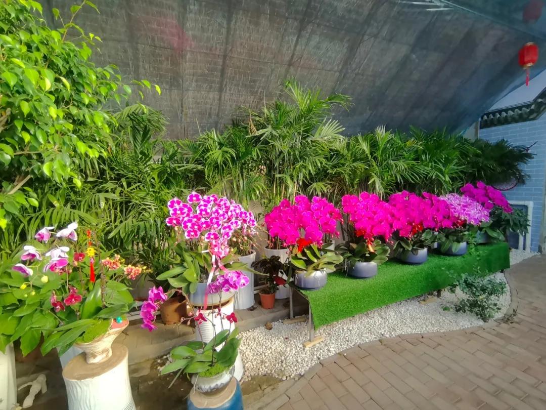 0845442034878859.jpg 微信图片_202502130844173.jpg