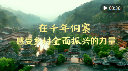 QQ_1742436324228.png