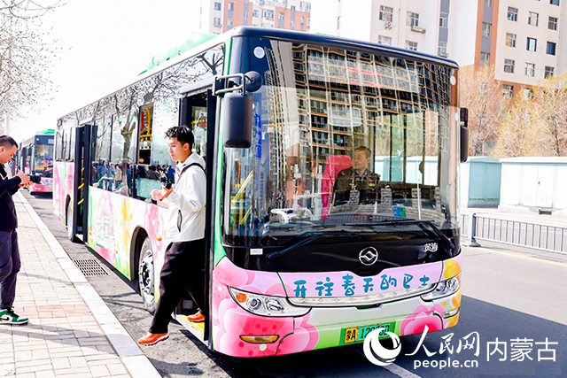 呼和浩特市“开往春天的巴士”赏花公交专线。呼和浩特市文化旅游广电局供图