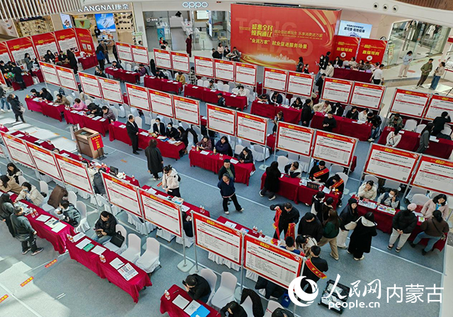 通辽市“业润万家”就业促进服务主题活动。张珠海摄