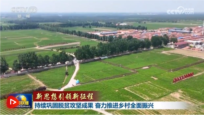 QQ_1752992839982.png