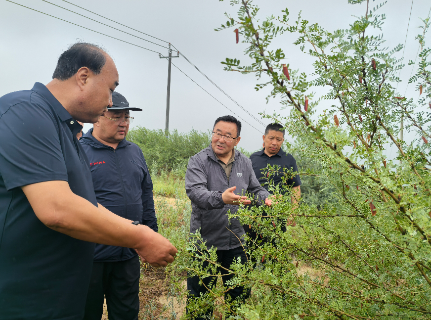 wechat_2025-07-17_101156_064.png