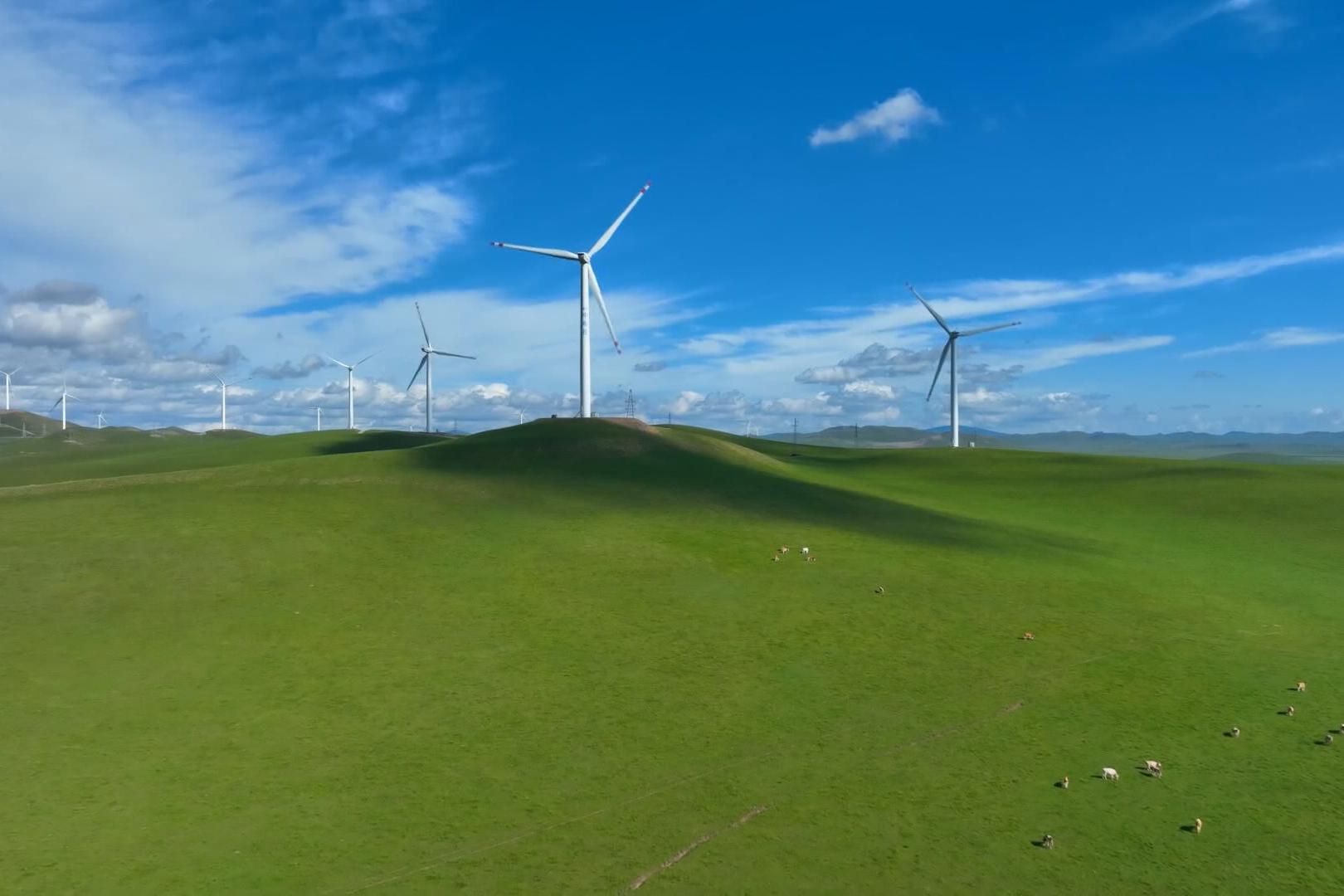 1754986158487495.bmp 草原上的风电场_副本.bmp