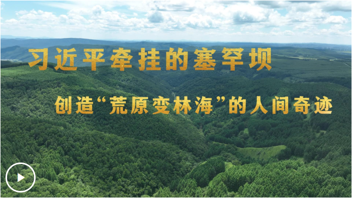QQ_1755392584798.png
