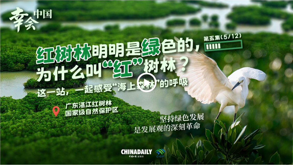 QQ_1757984963594.png