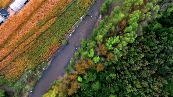 和谐共生｜塞外秋意浓，山水画中游
