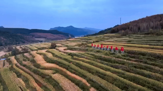 和谐共生｜塞外秋意浓，山水画中游