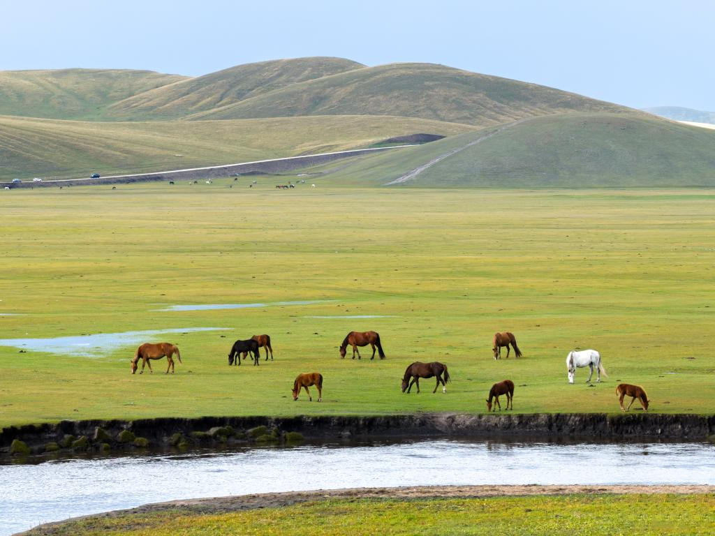 1609544937520088.jpg 20251023_160916_000.jpg