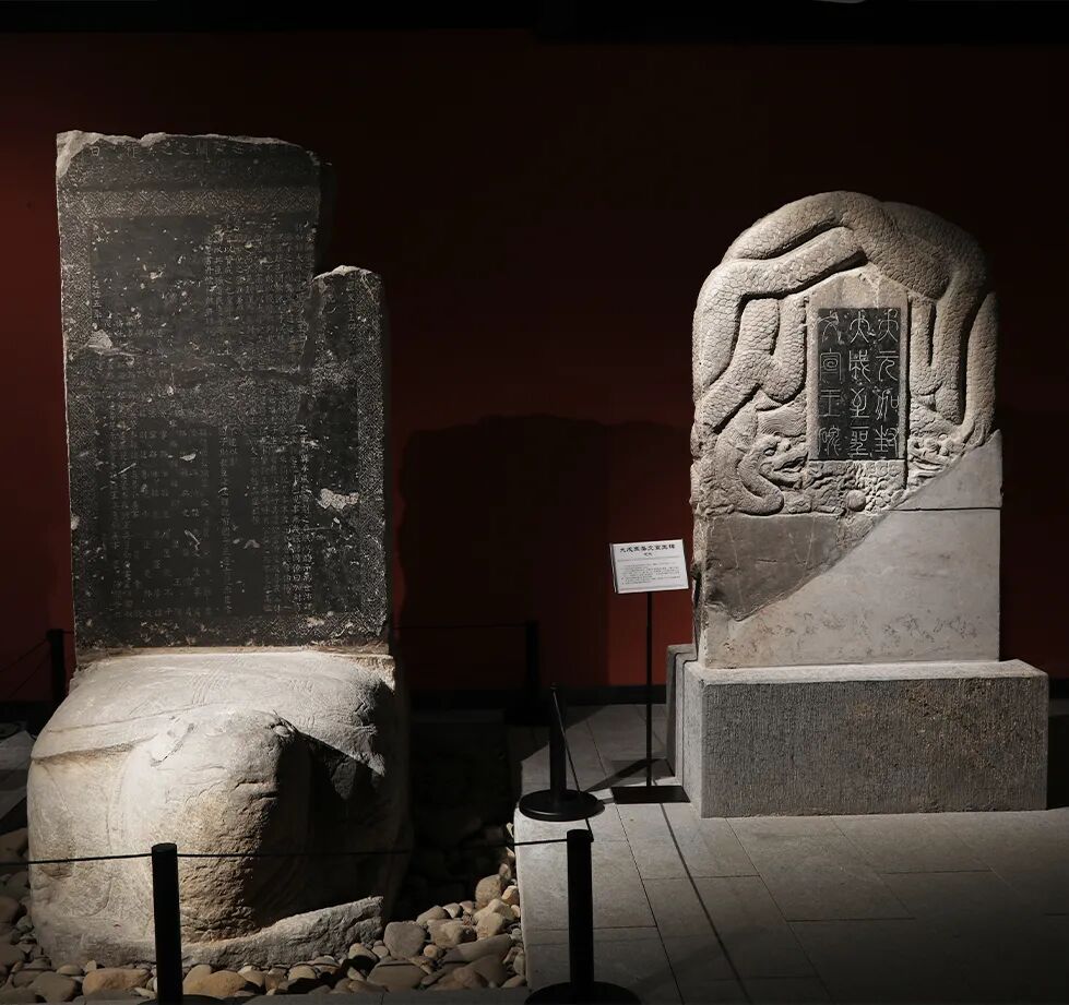 1611038473082193.jpg 20251023_160916_005.jpg