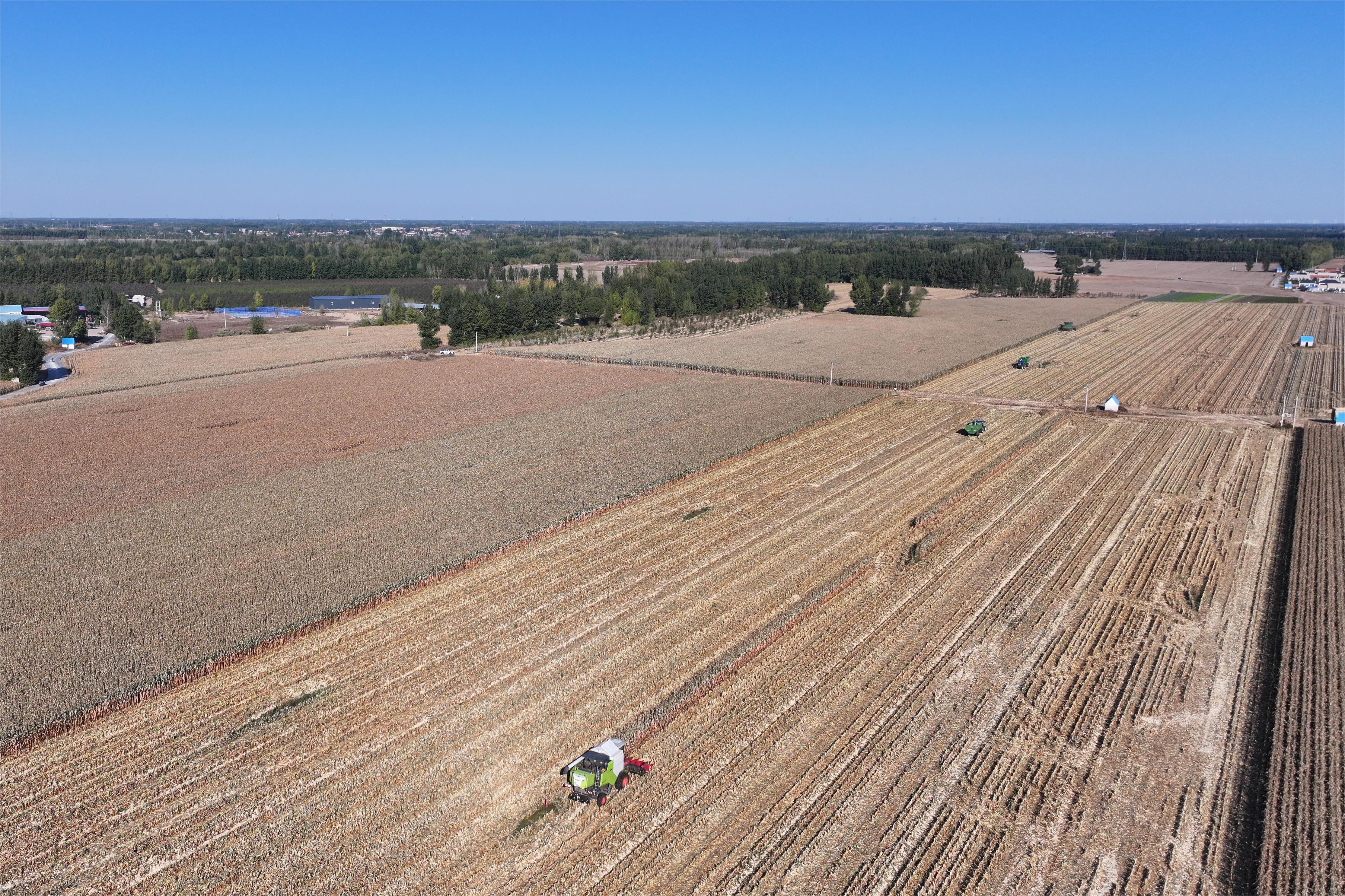 1033154375414618.jpg 1.jpg