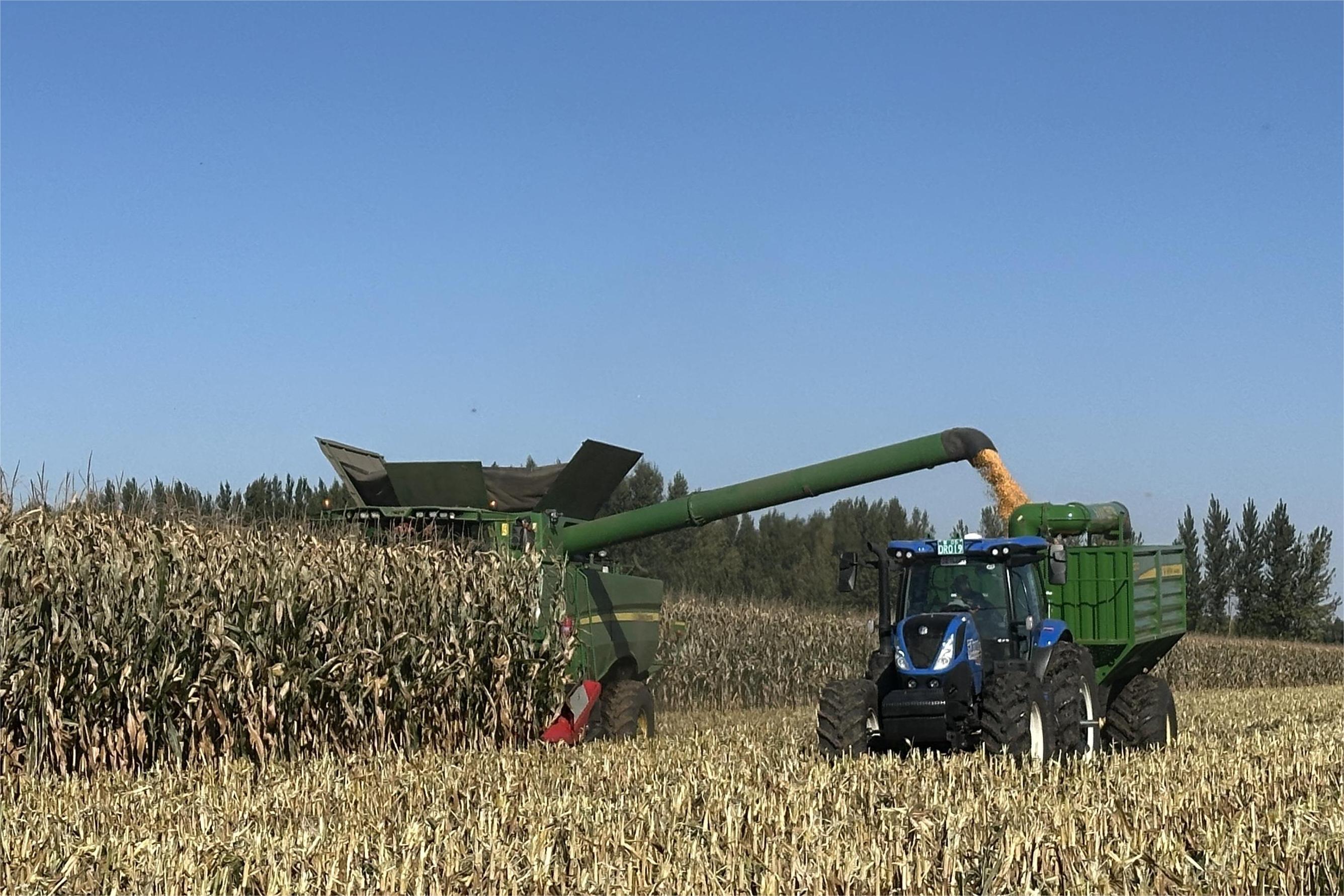 1035555487845912.jpg 3.jpg