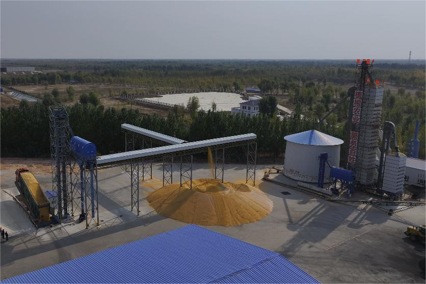 1040221827507789.png 4.png