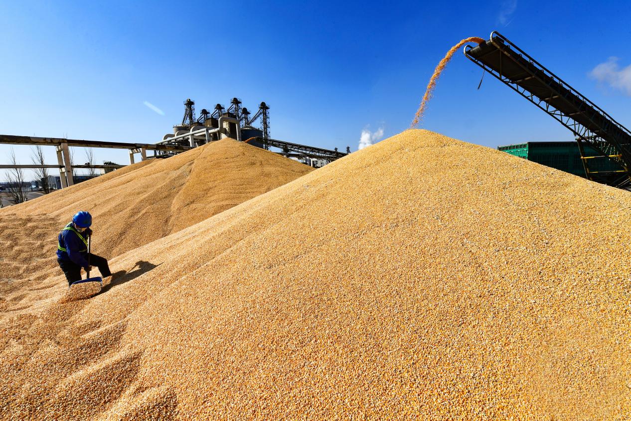 1761566199297241.jpg 微信图片_20251027192853_421_2.jpg