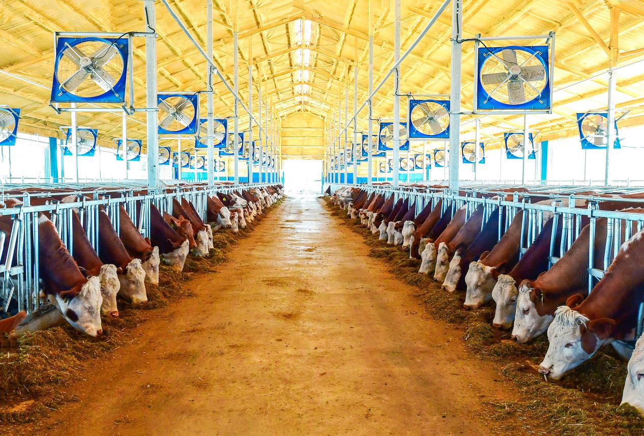 1761566211529898.jpg 微信图片_20251027192856_422_2.jpg