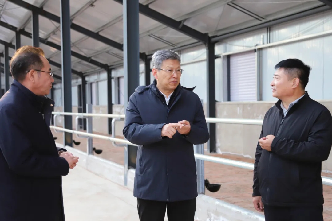 1761698057160703.jpg 微信图片_20251029083306_983_140.jpg