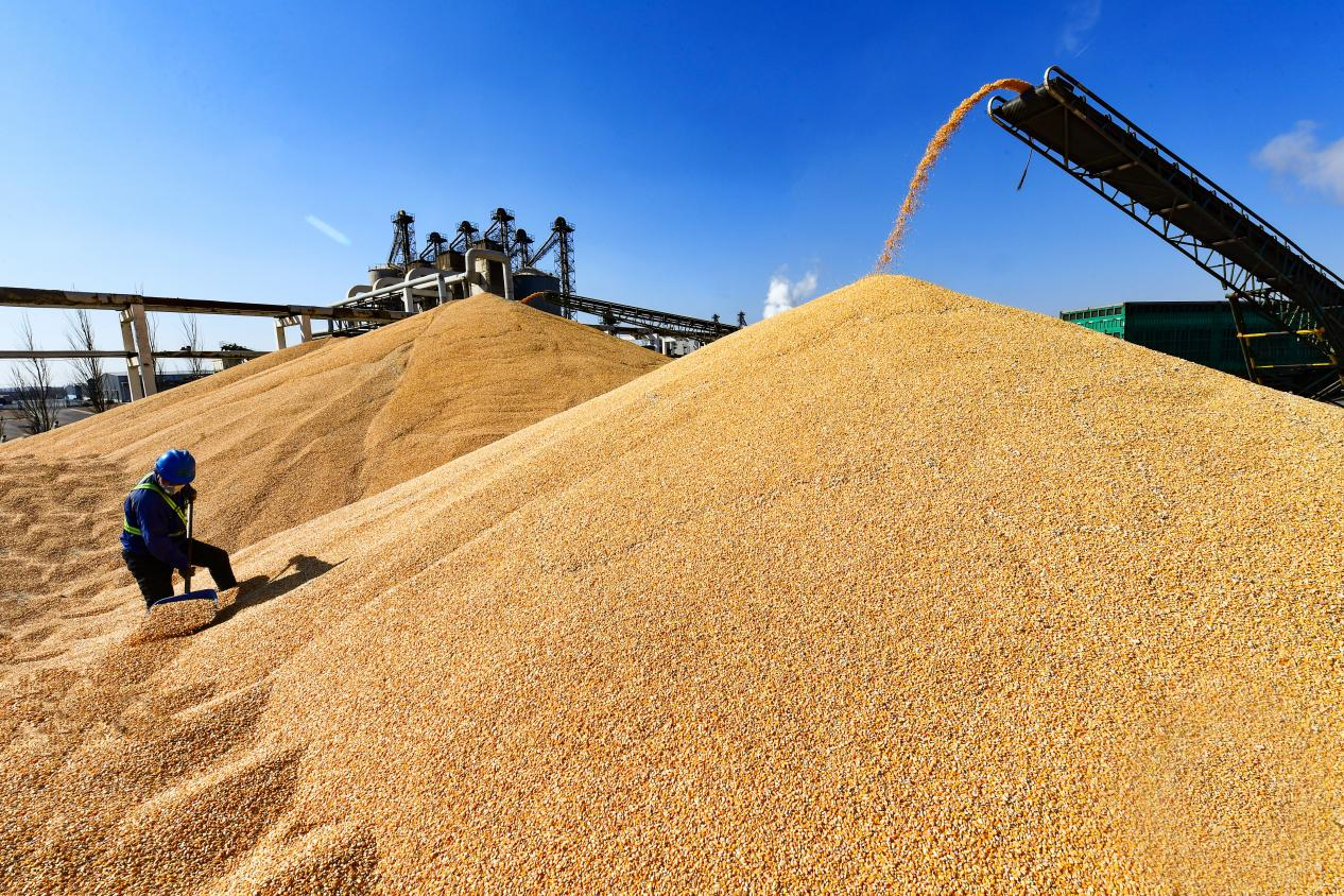 1761643726122884.png 012_副本.png