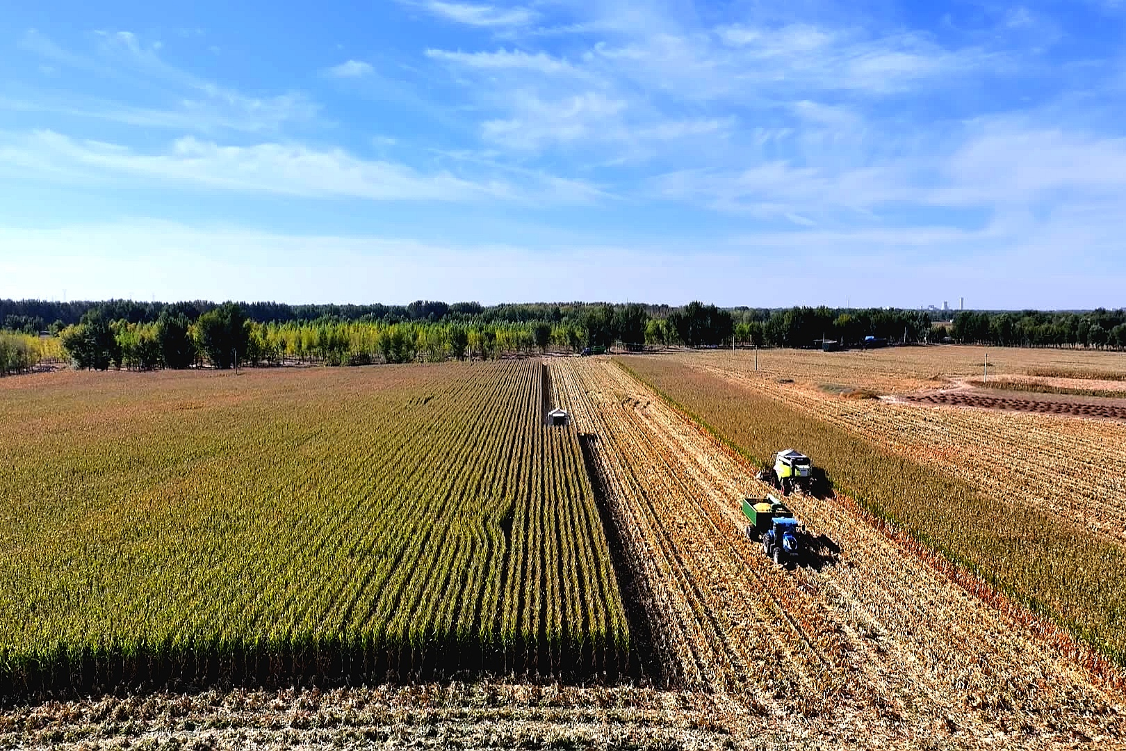 1761640445734587.png 图片2_副本.png