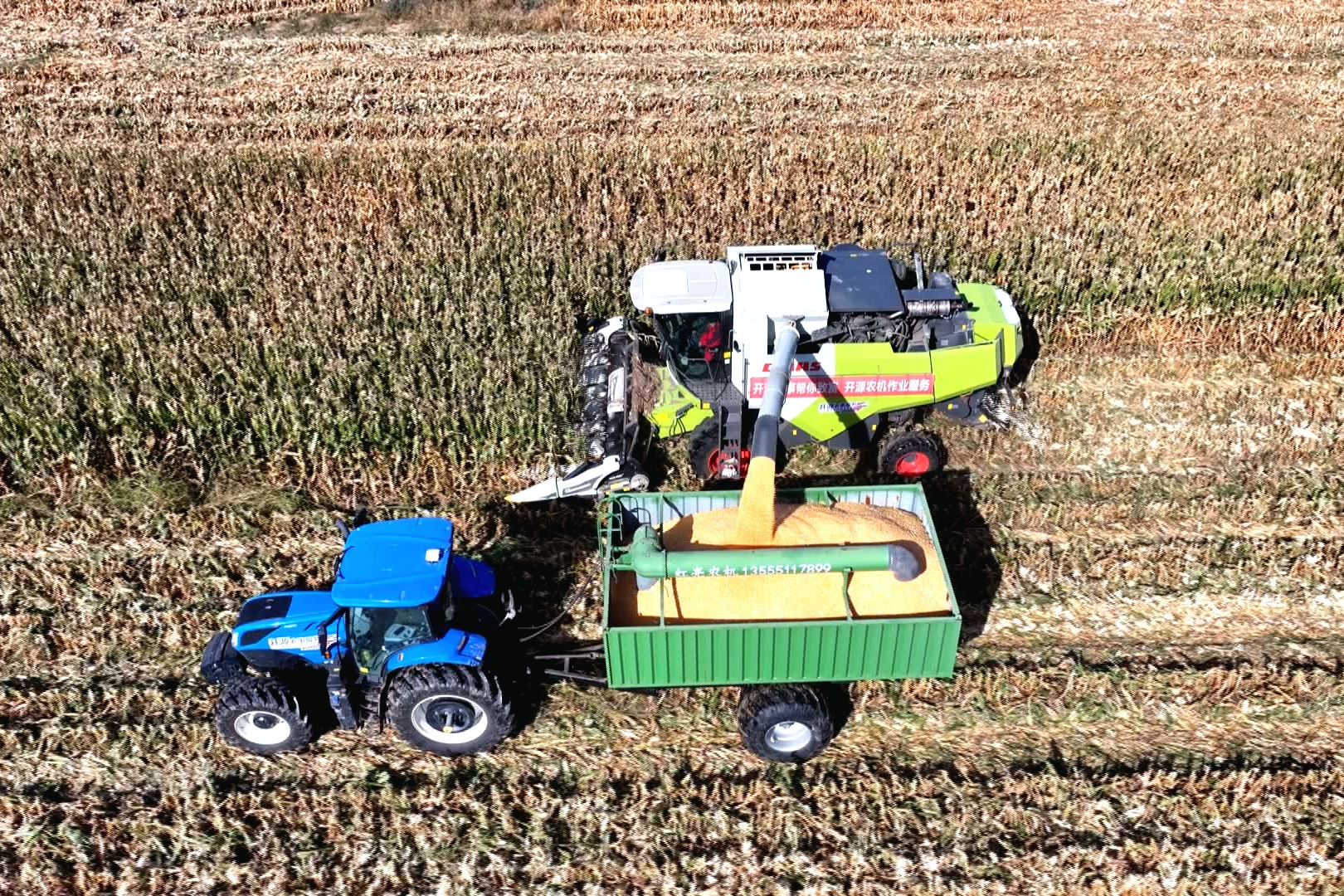 1761640395407355.png 图片1_副本.png