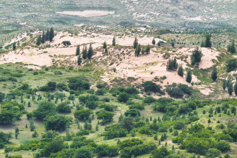 1761738984163259.png 5.png