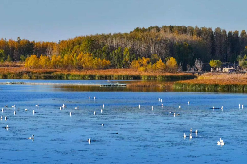 1761738994324490.png 6.png