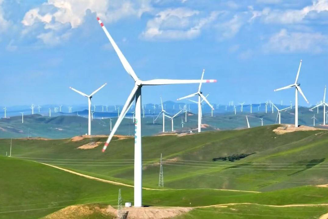 1761732736830422.jpg 4.jpg