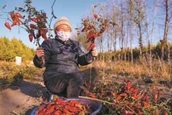 1763083253249592.png 微信截图_20251114092037.png