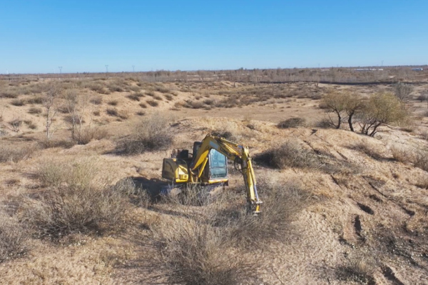 1763196230484453.jpg 22.jpg