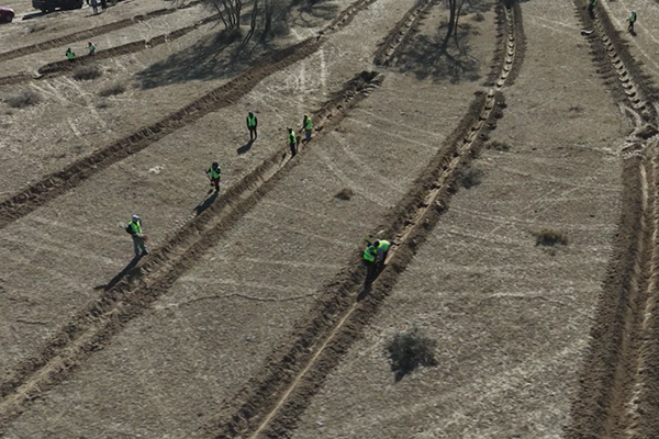 1763196210202549.jpg 11.jpg